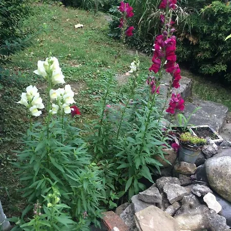 Apartamento Fonix Apartman *